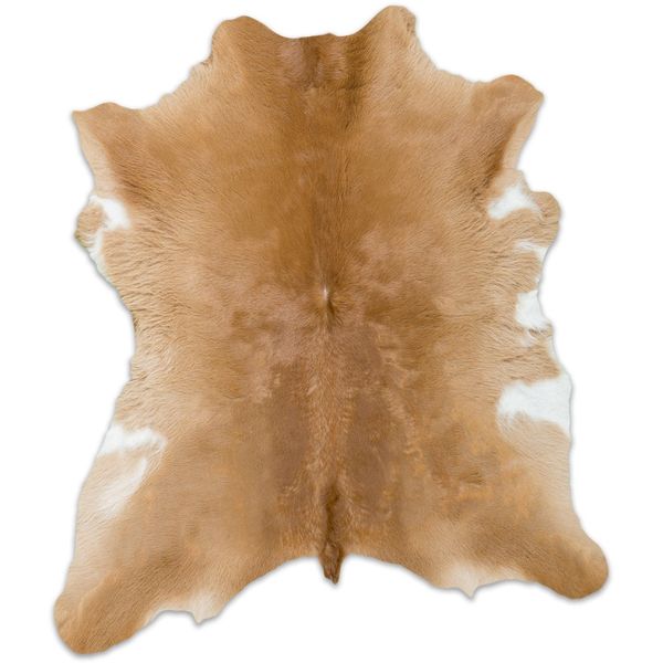 6 Best Cowhide Rugs Of 2020 Easy Home Concepts